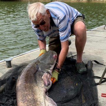 Catfish triple topped by 72lb 4oz specimen — Angling Times