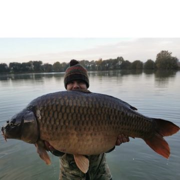 River Carp Fishing for Commons 